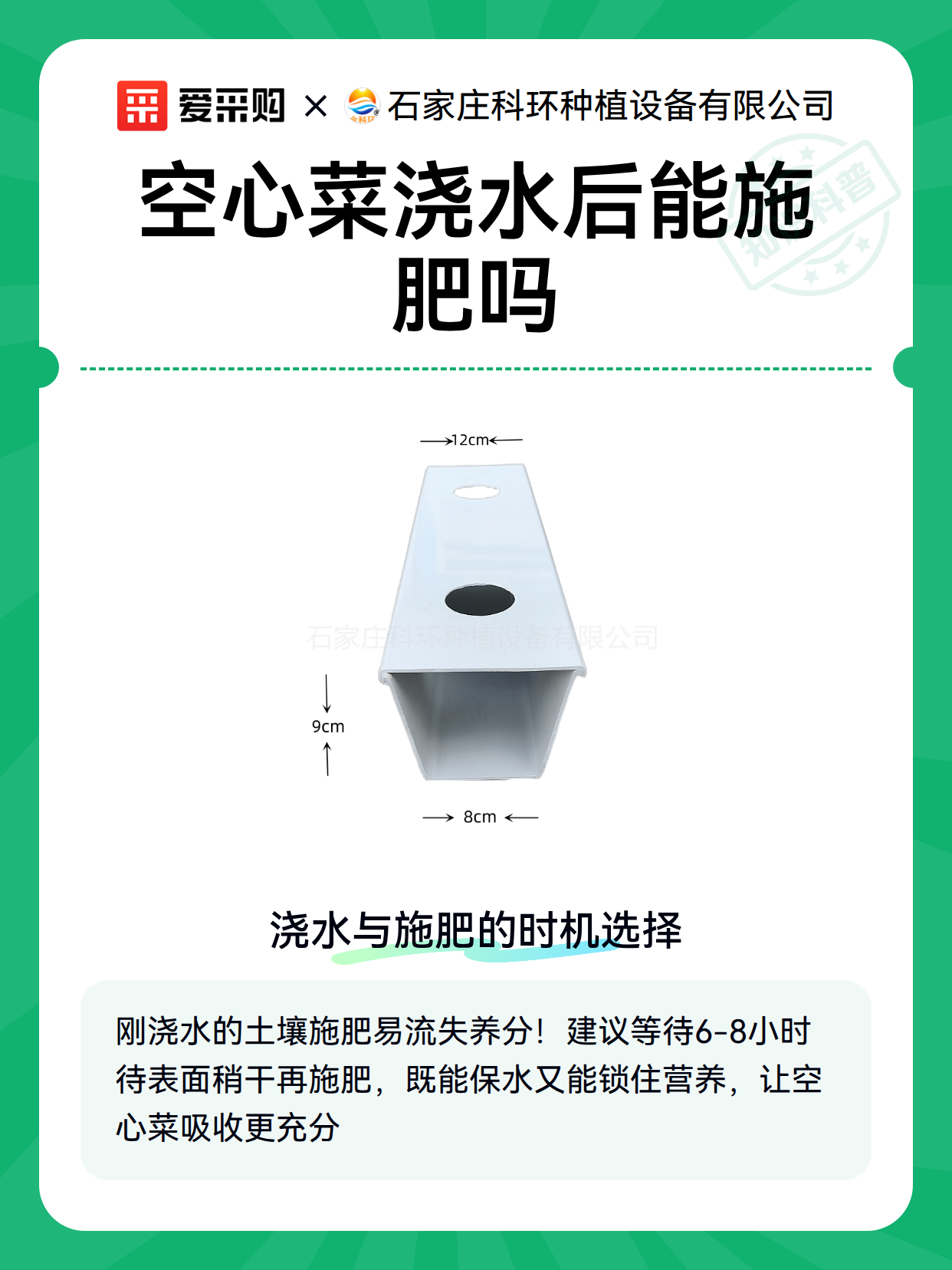 空心菜浇水后能施肥吗（图2）