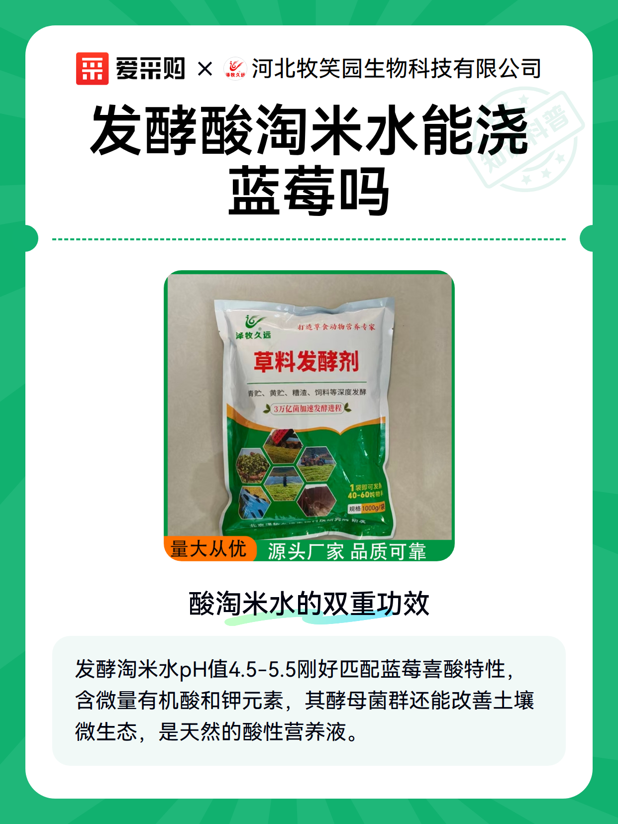 发酵酸淘米水能浇蓝莓吗（图2）
