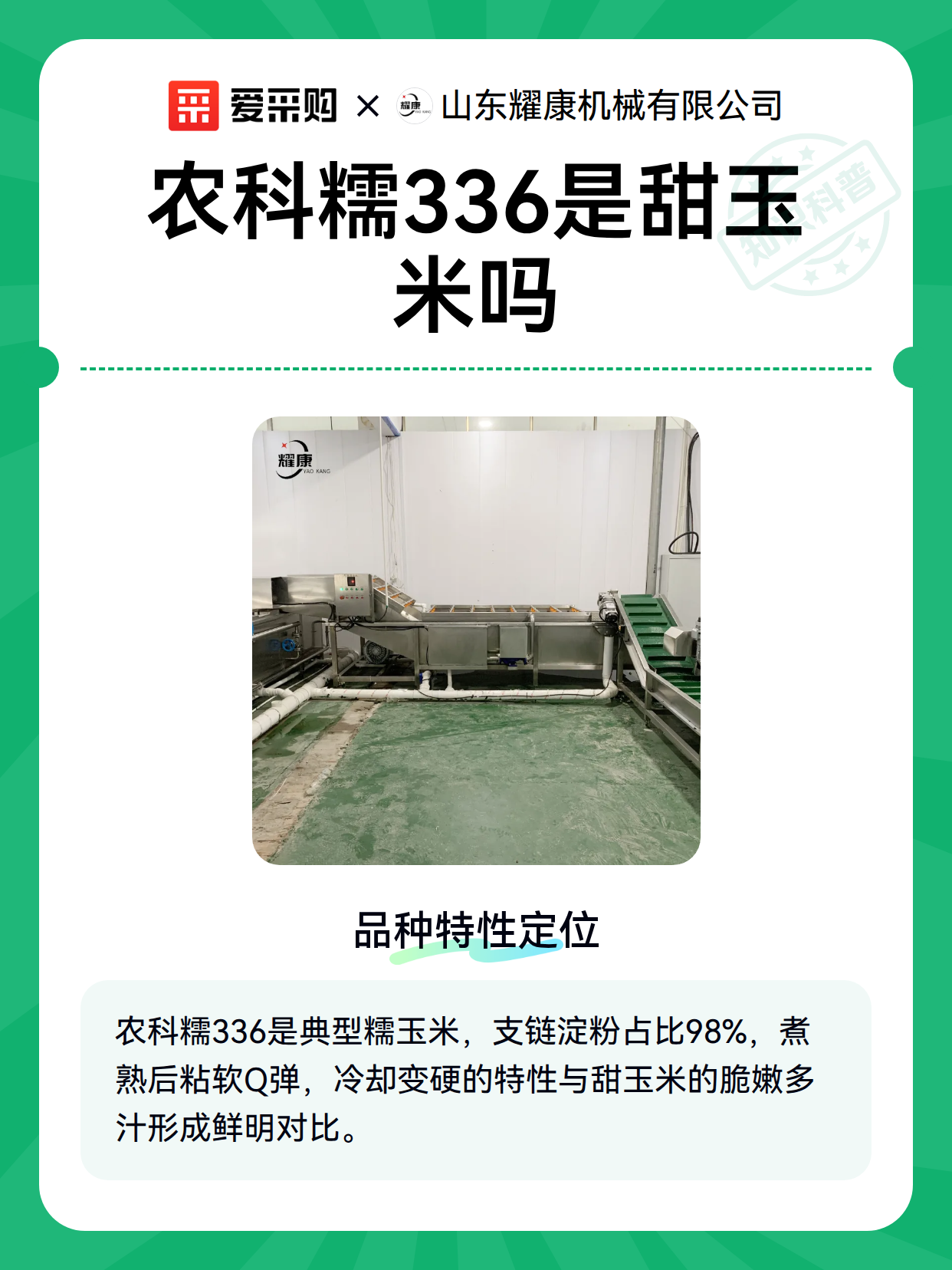 农科糯336是甜玉米吗（图2）