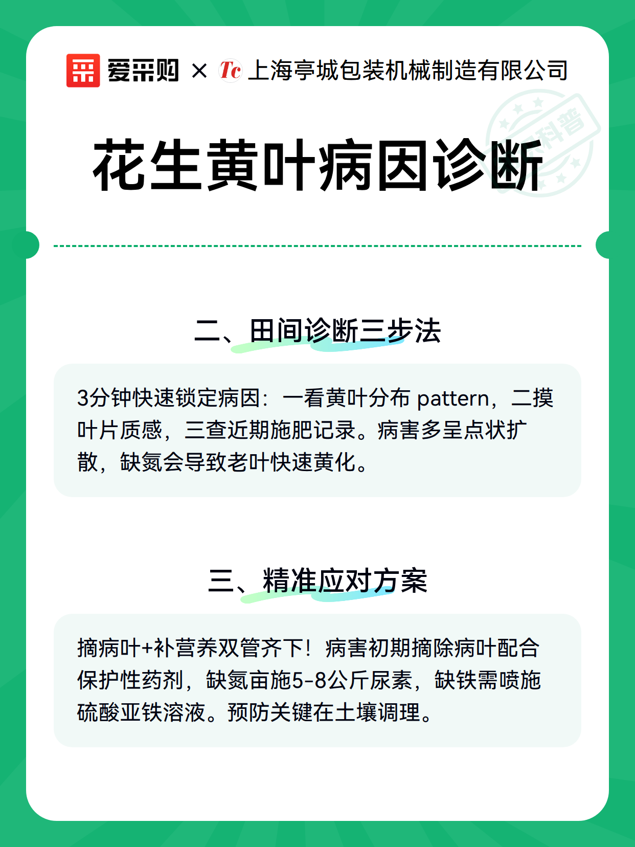 花生黄叶病因诊断（图2）