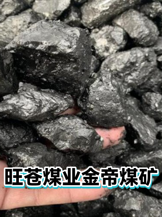 旺苍煤业金帝煤矿（图1）