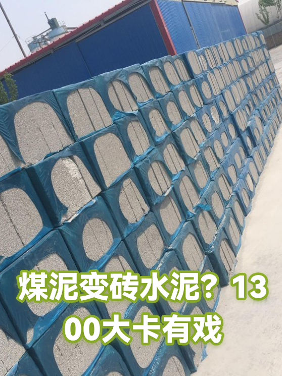 煤泥变砖水泥？1300大卡有戏（图1）