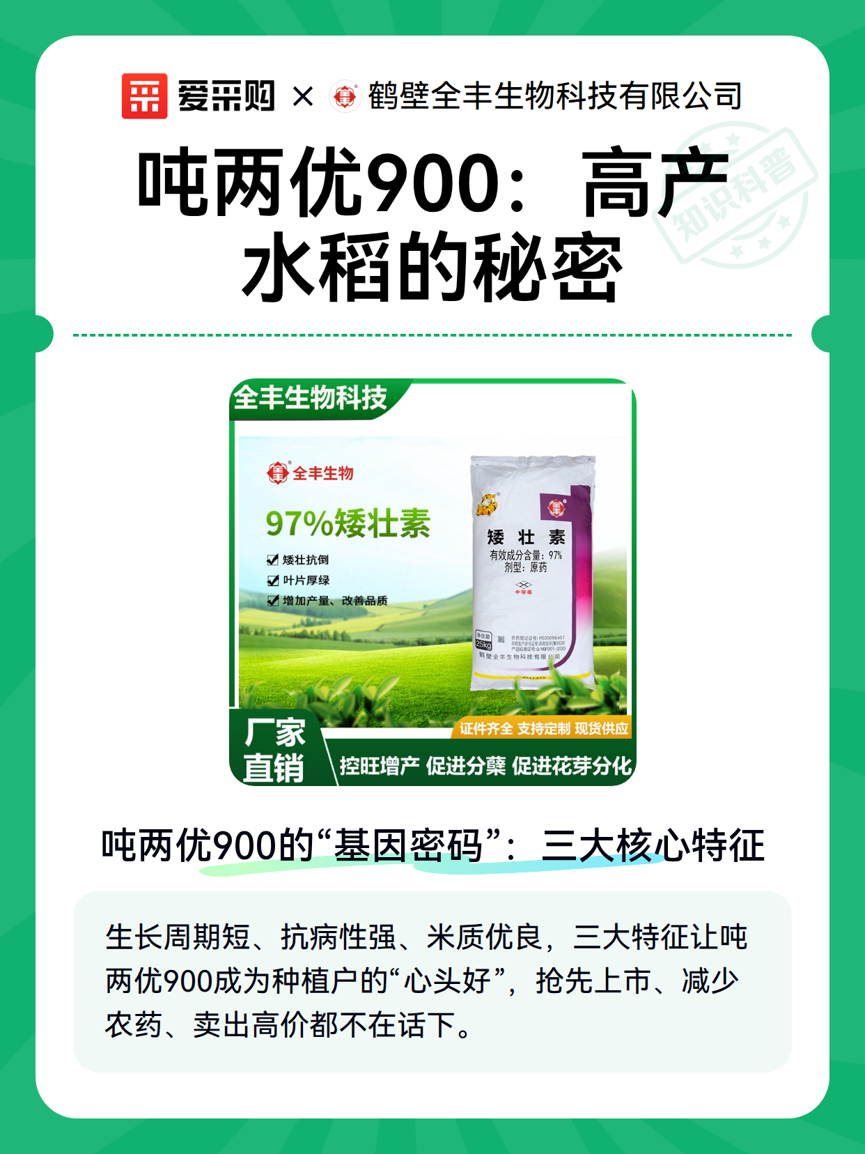 吨两优900：高产水稻的秘密（图1）