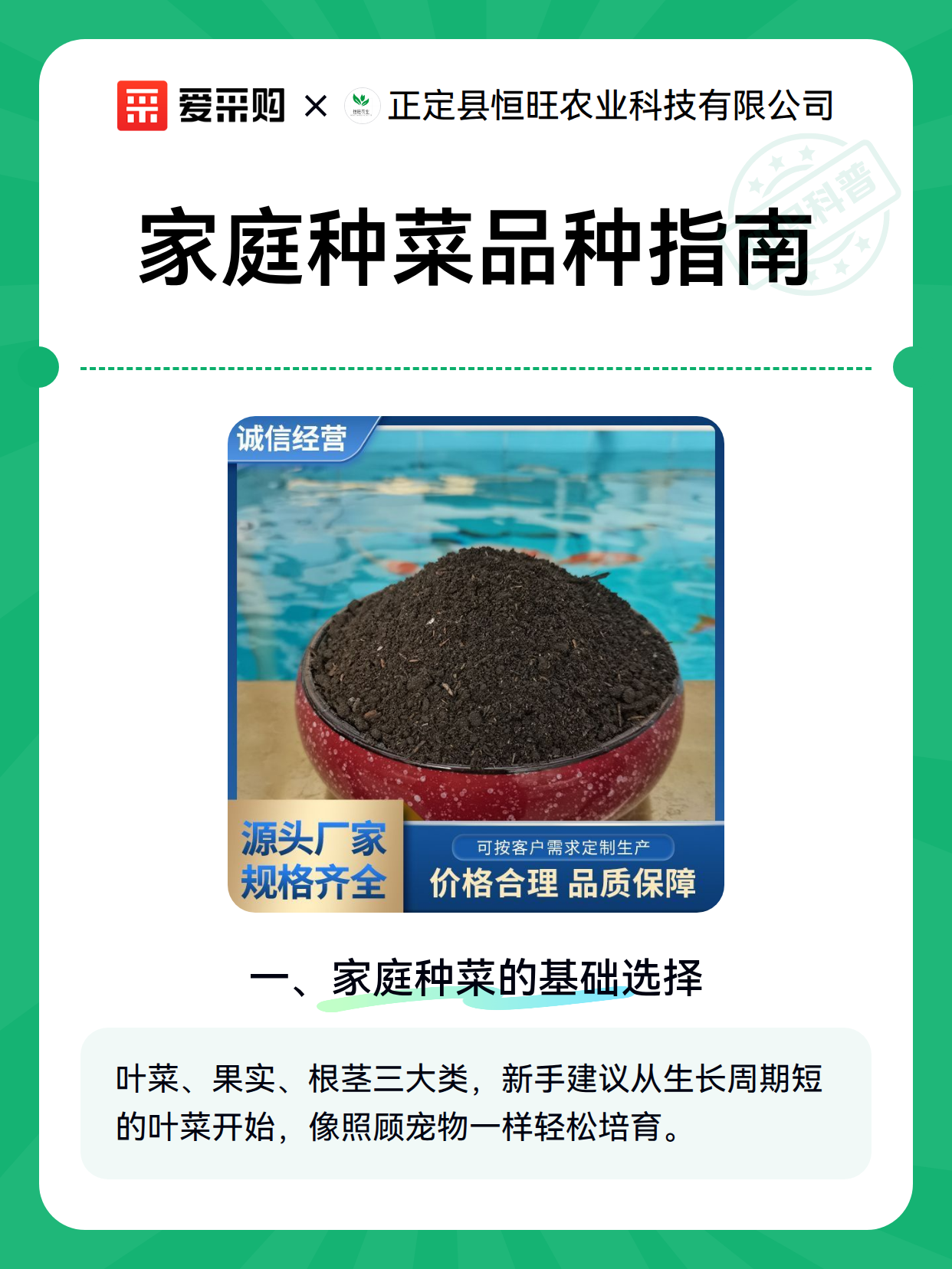 家庭种菜品种指南（图2）