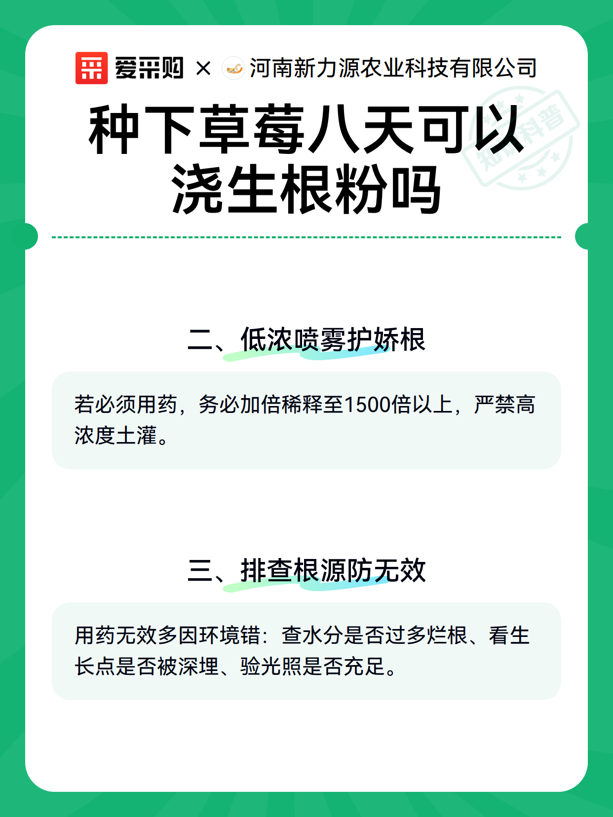 种下草莓八天可以浇生根粉吗（图3）