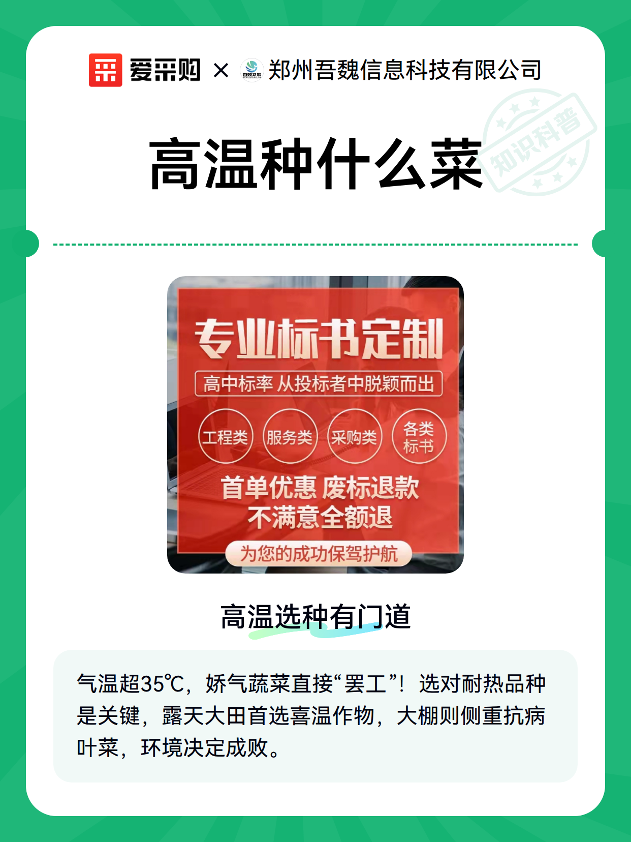 高温种什么菜（图2）