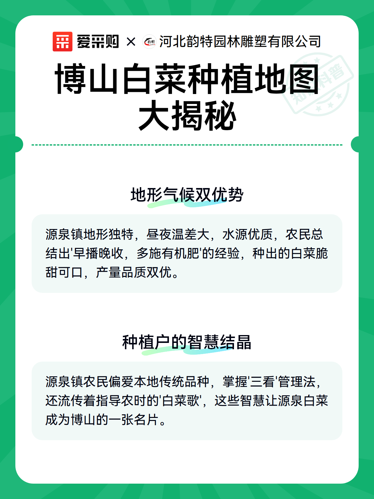 博山白菜种植地图大揭秘（图3）
