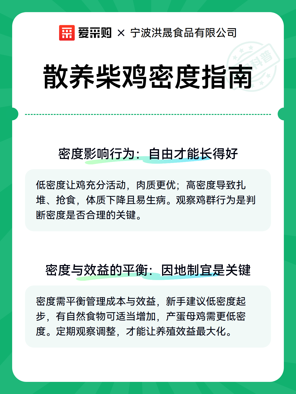 散养柴鸡密度指南（图2）