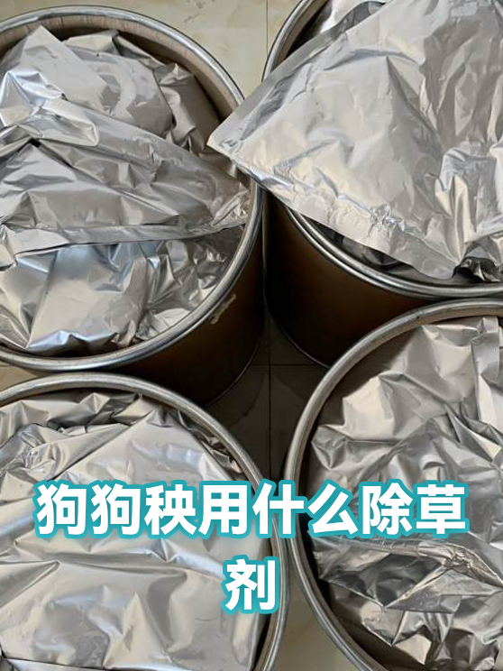 狗狗秧的防除与多年生杂草的持续管理维护（图1）