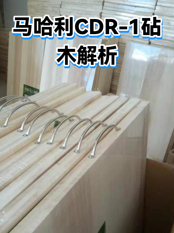 马哈利CDR-1砧木解析（图1）