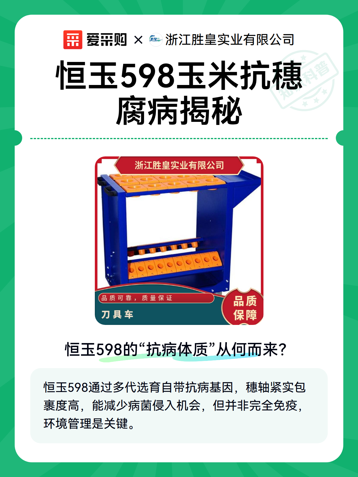 恒玉598玉米抗穗腐病揭秘（图1）