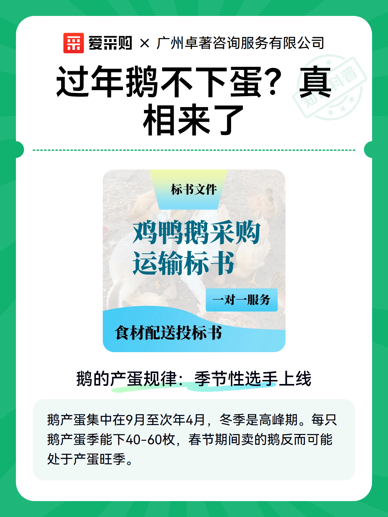 过年鹅不下蛋？真相来了（图1）