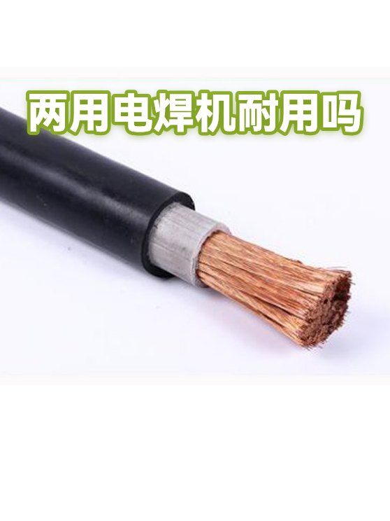 两用电焊机耐用吗（图1）