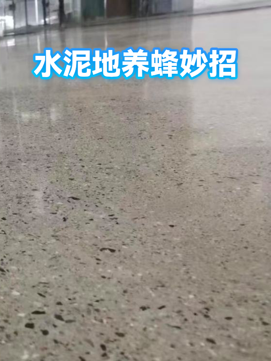 水泥地养蜂妙招（图1）