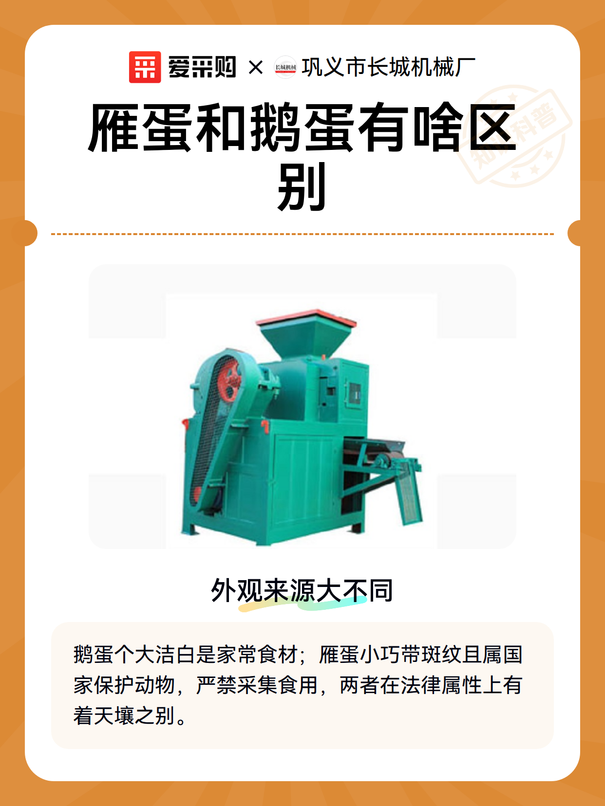 雁蛋和鹅蛋有啥区别（图2）