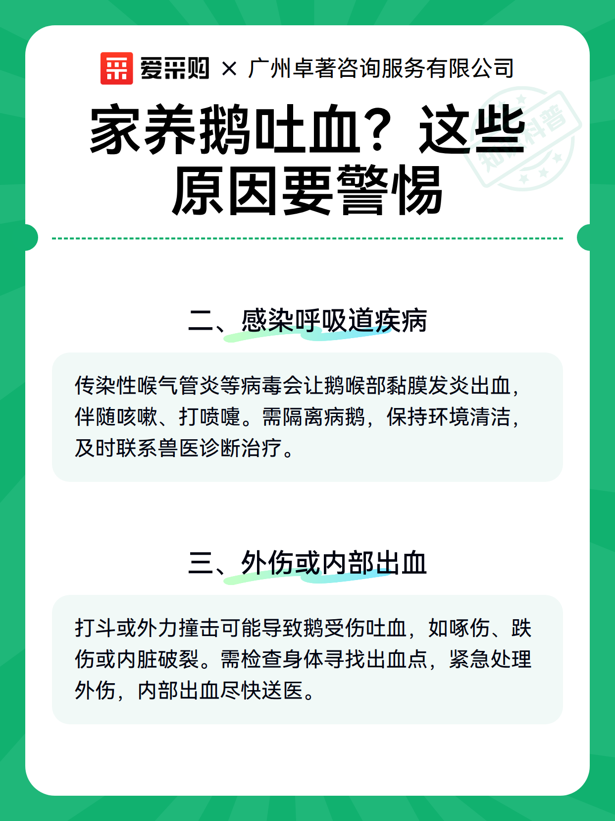 家养鹅吐血？这些原因要警惕（图2）