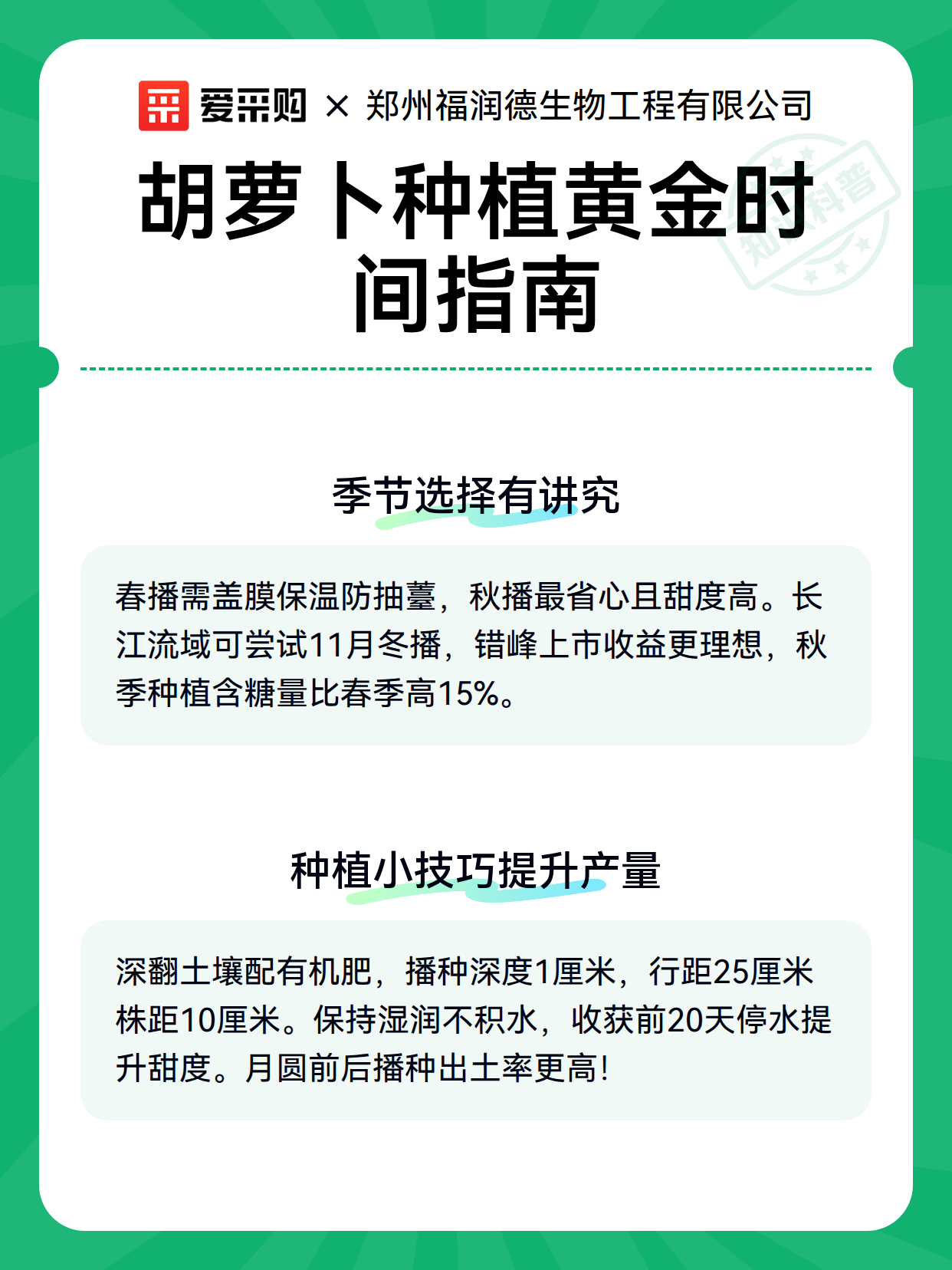 胡萝卜种植黄金时间指南（图3）
