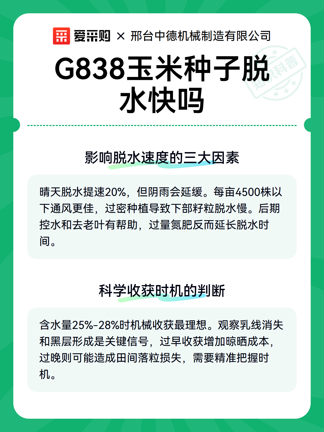 G838玉米种子脱水快吗（图3）