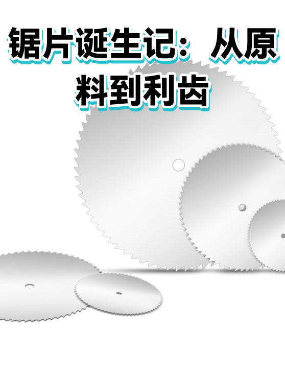 锯片诞生记：从原料到利齿（图1）