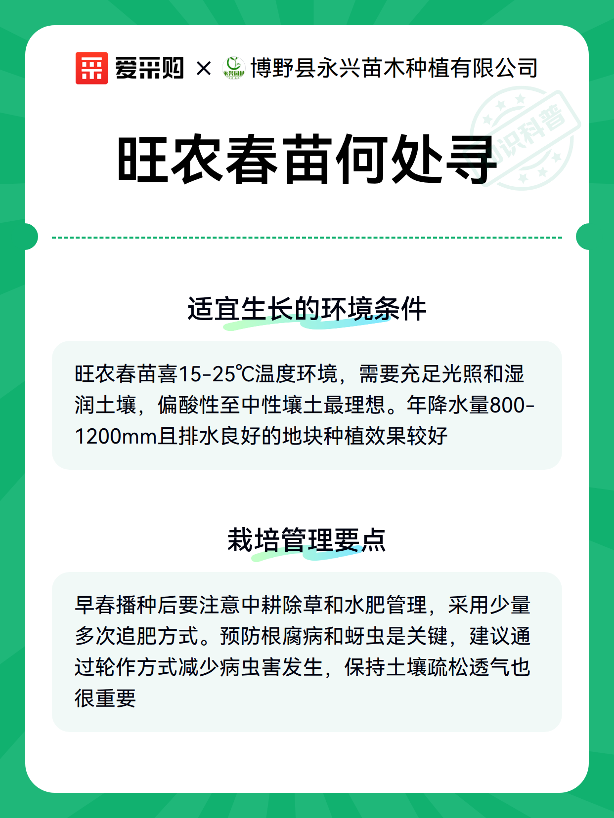 旺农春苗何处寻（图3）