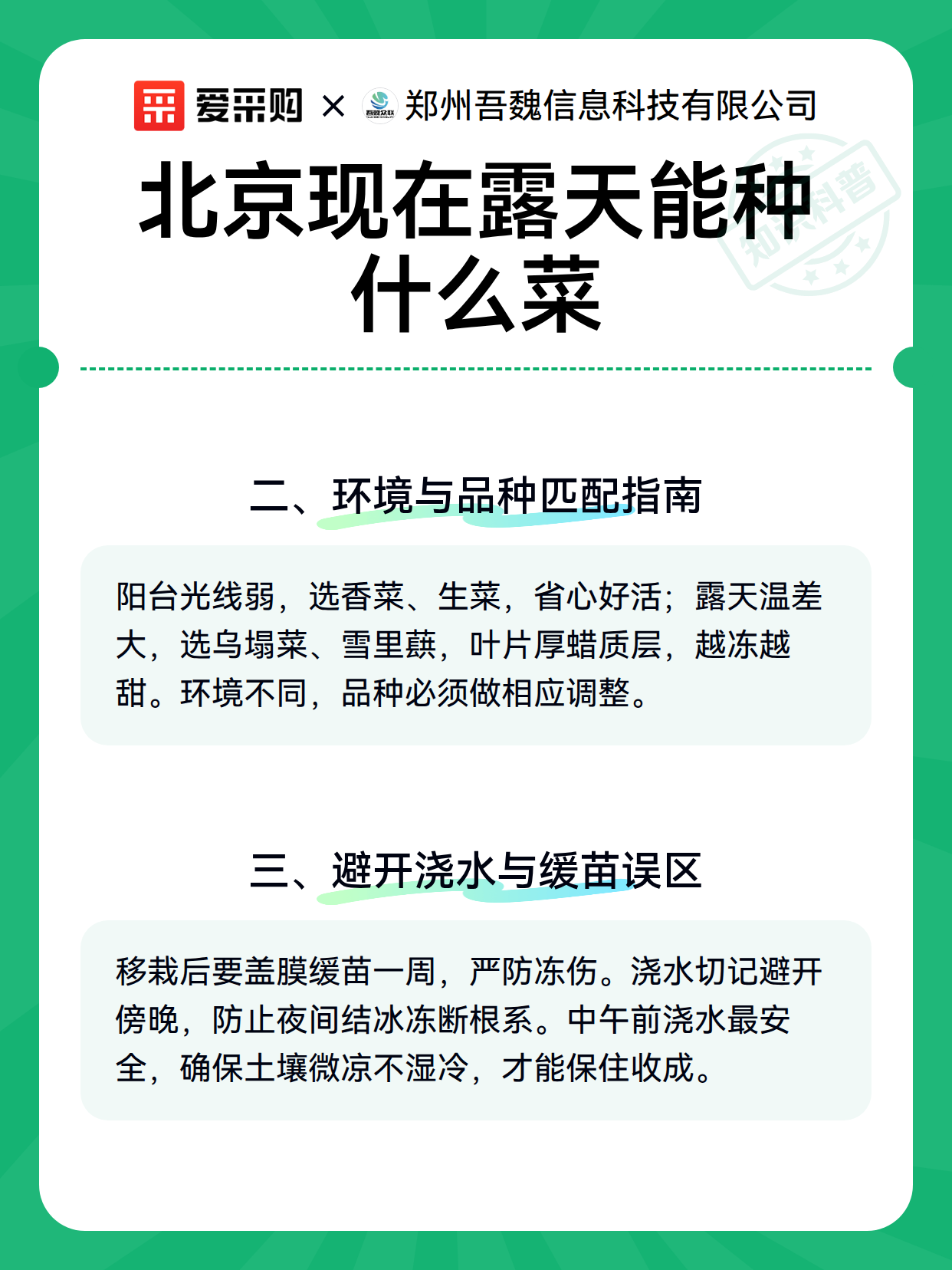 北京现在露天能种什么菜（图3）