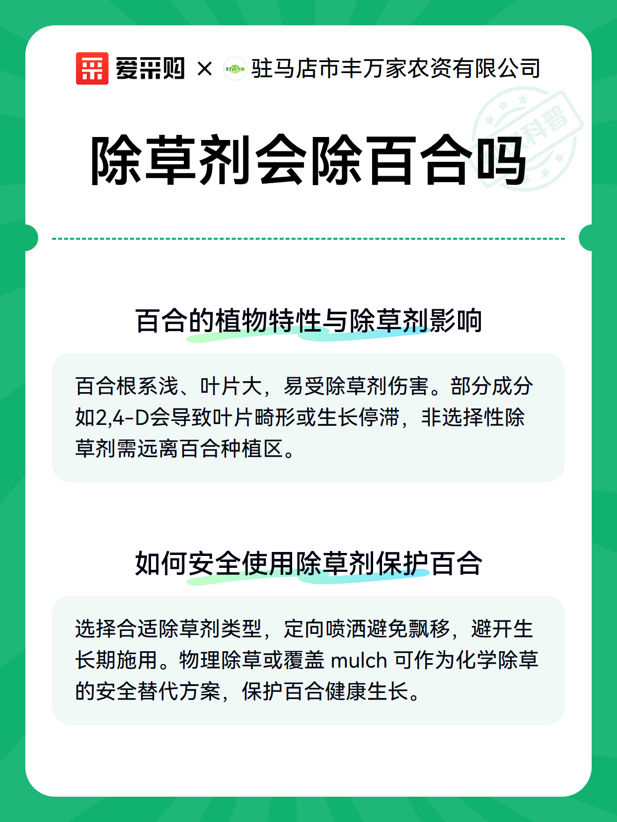 除草剂会除百合吗（图3）
