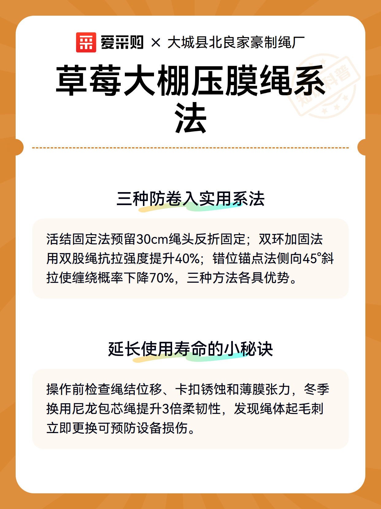 草莓大棚压膜绳系法（图3）
