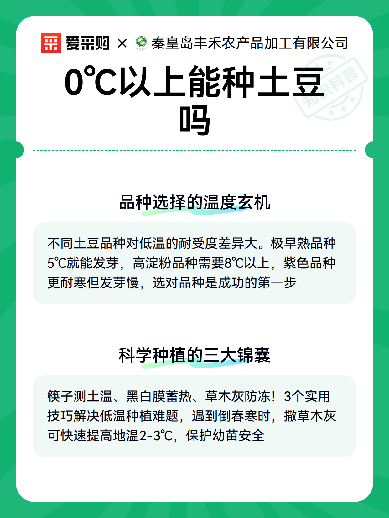 0℃以上能种土豆吗（图3）