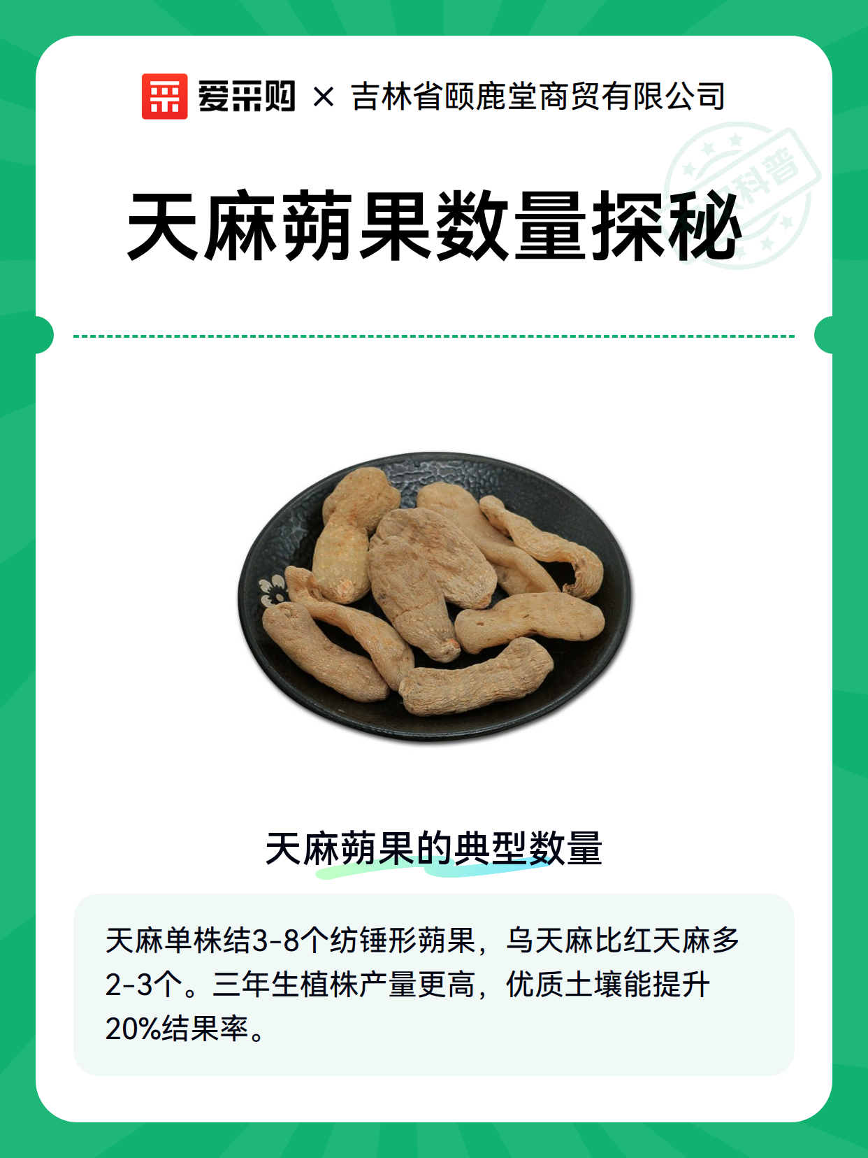 天麻蒴果数量探秘（图2）