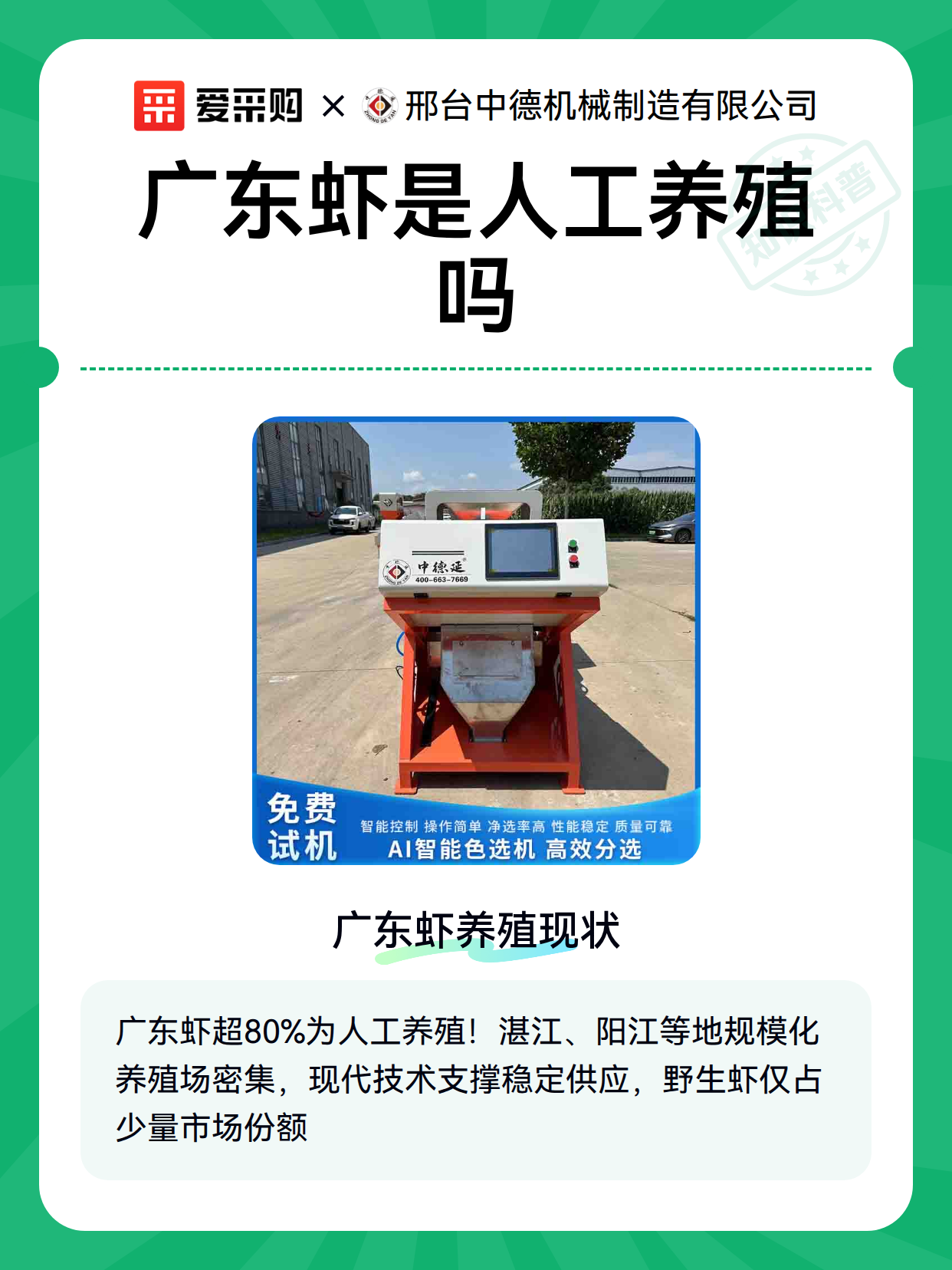 广东虾是人工养殖吗（图1）