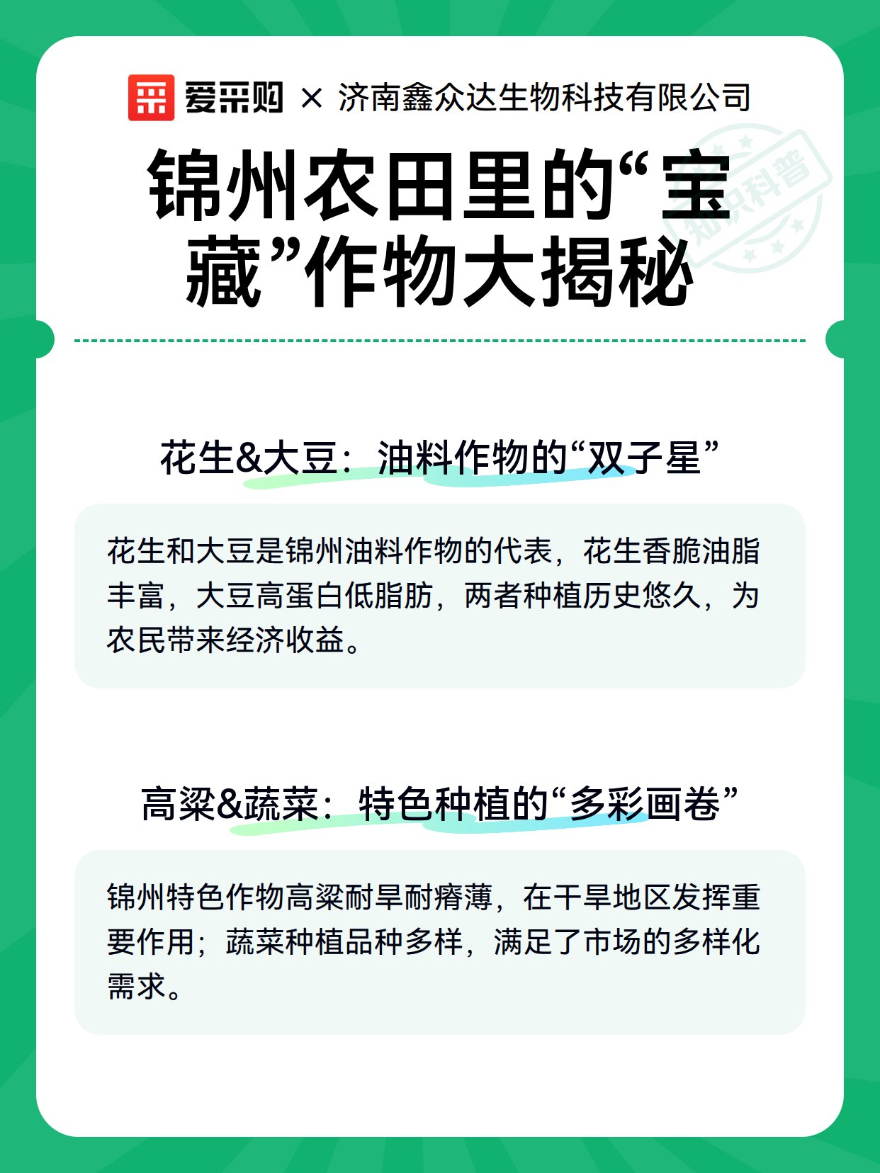锦州农田里的“宝藏”作物大揭秘（图3）
