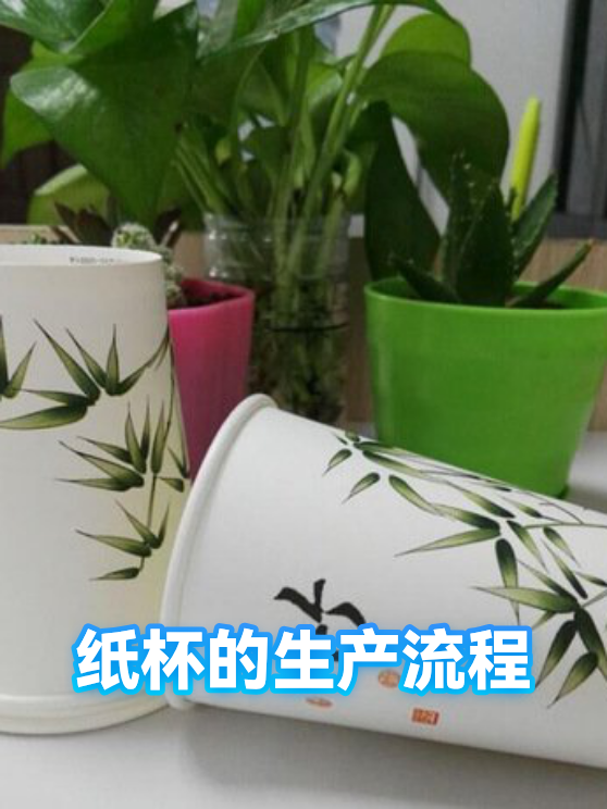 纸杯的生产流程（图1）
