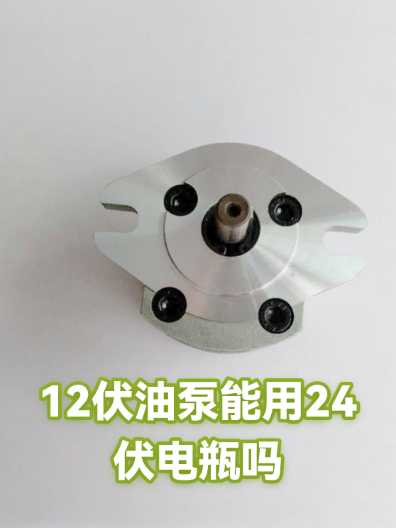 12伏油泵能用24伏电瓶吗（图1）