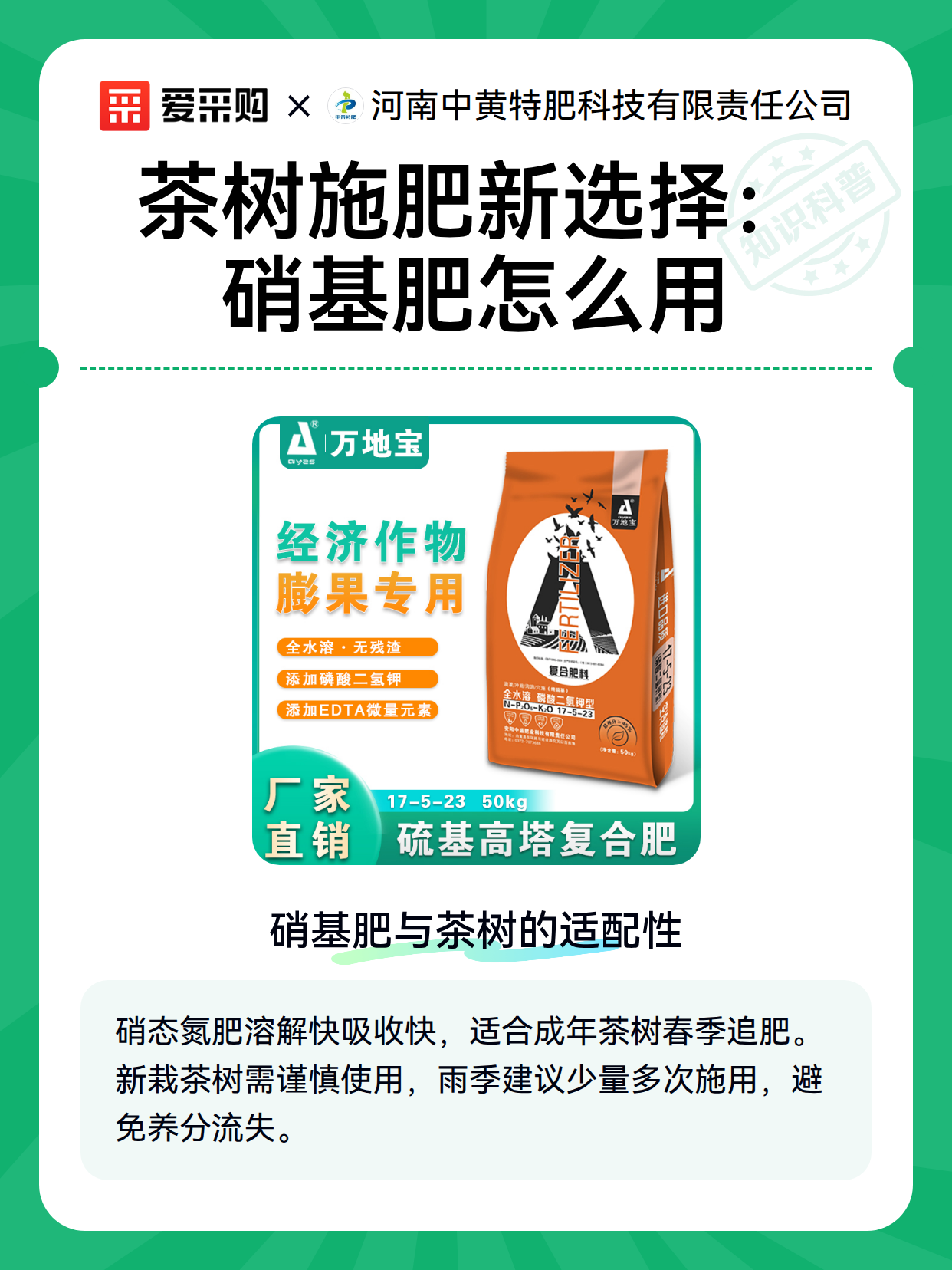 茶树施肥新选择：硝基肥怎么用（图1）