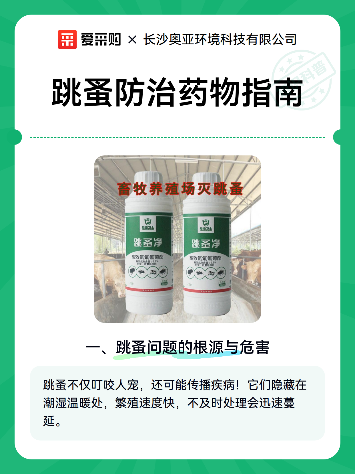 跳蚤防治药物指南（图1）