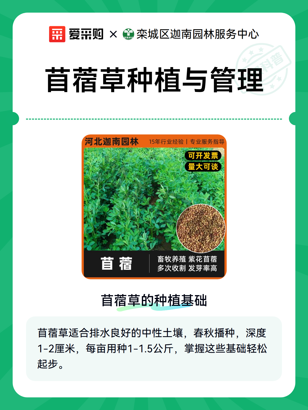 苜蓿草种植与管理（图2）