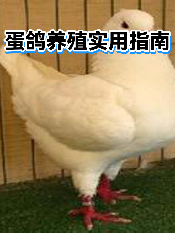 image-1