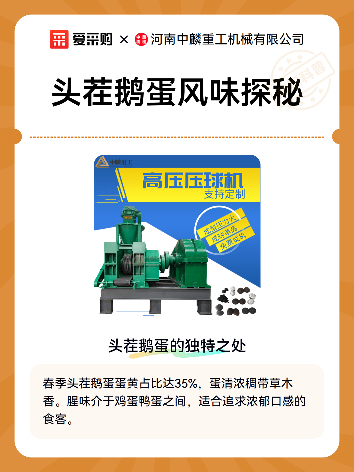 头茬鹅蛋风味探秘（图2）