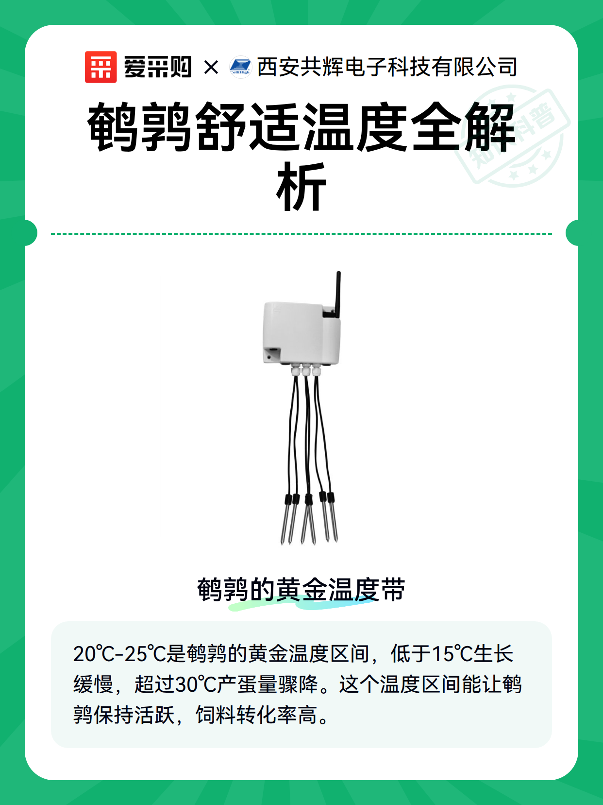 鹌鹑舒适温度全解析（图1）