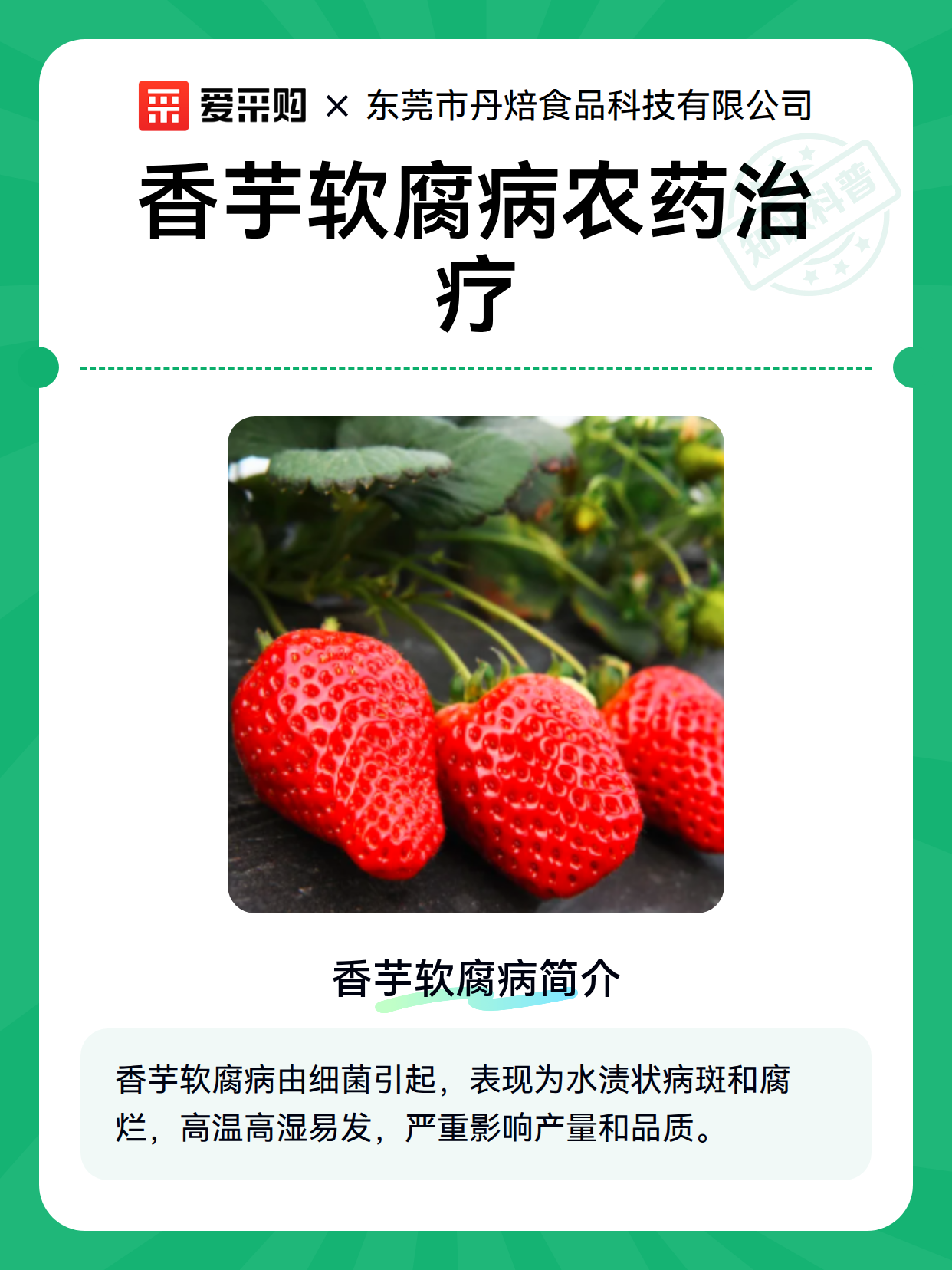 香芋软腐病农药治疗（图2）
