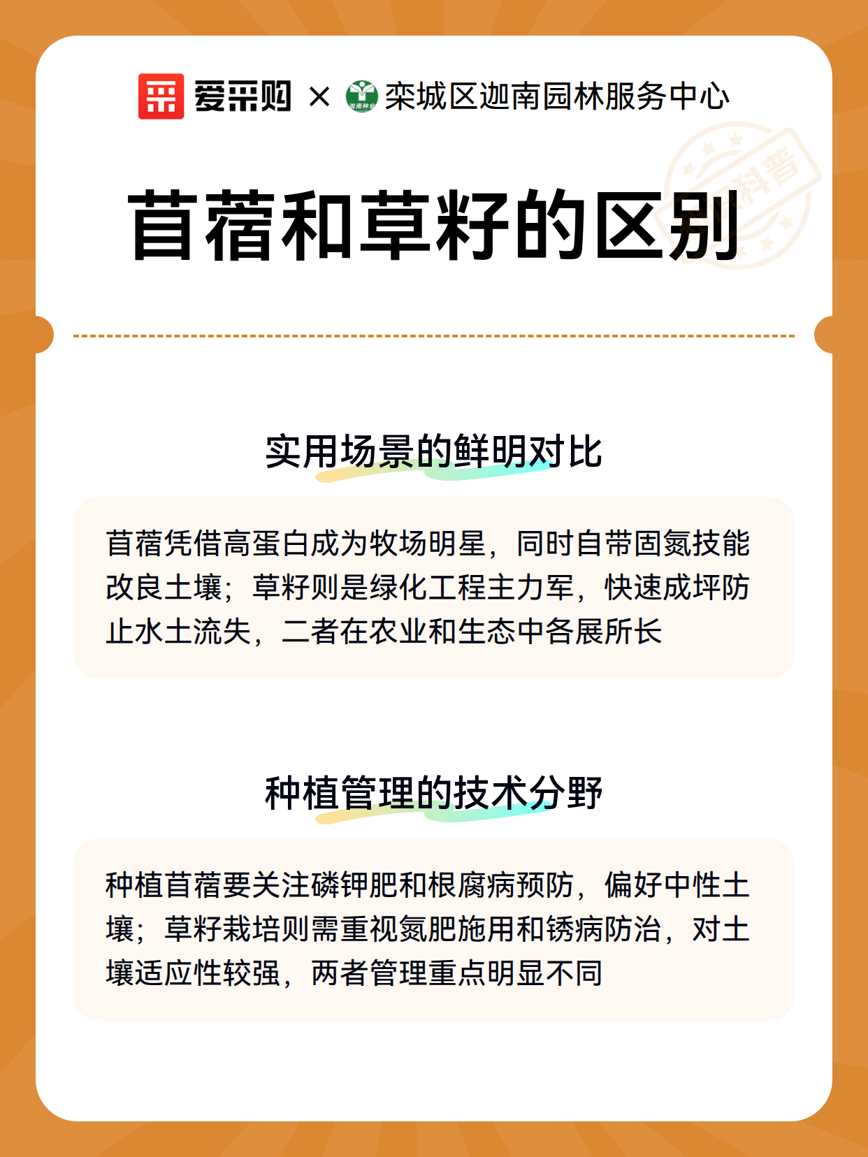 苜蓿和草籽的区别（图3）