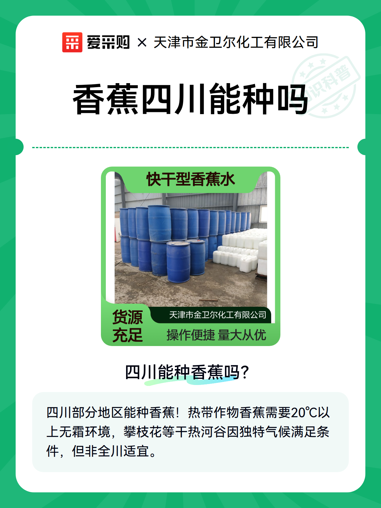 香蕉四川能种吗（图2）