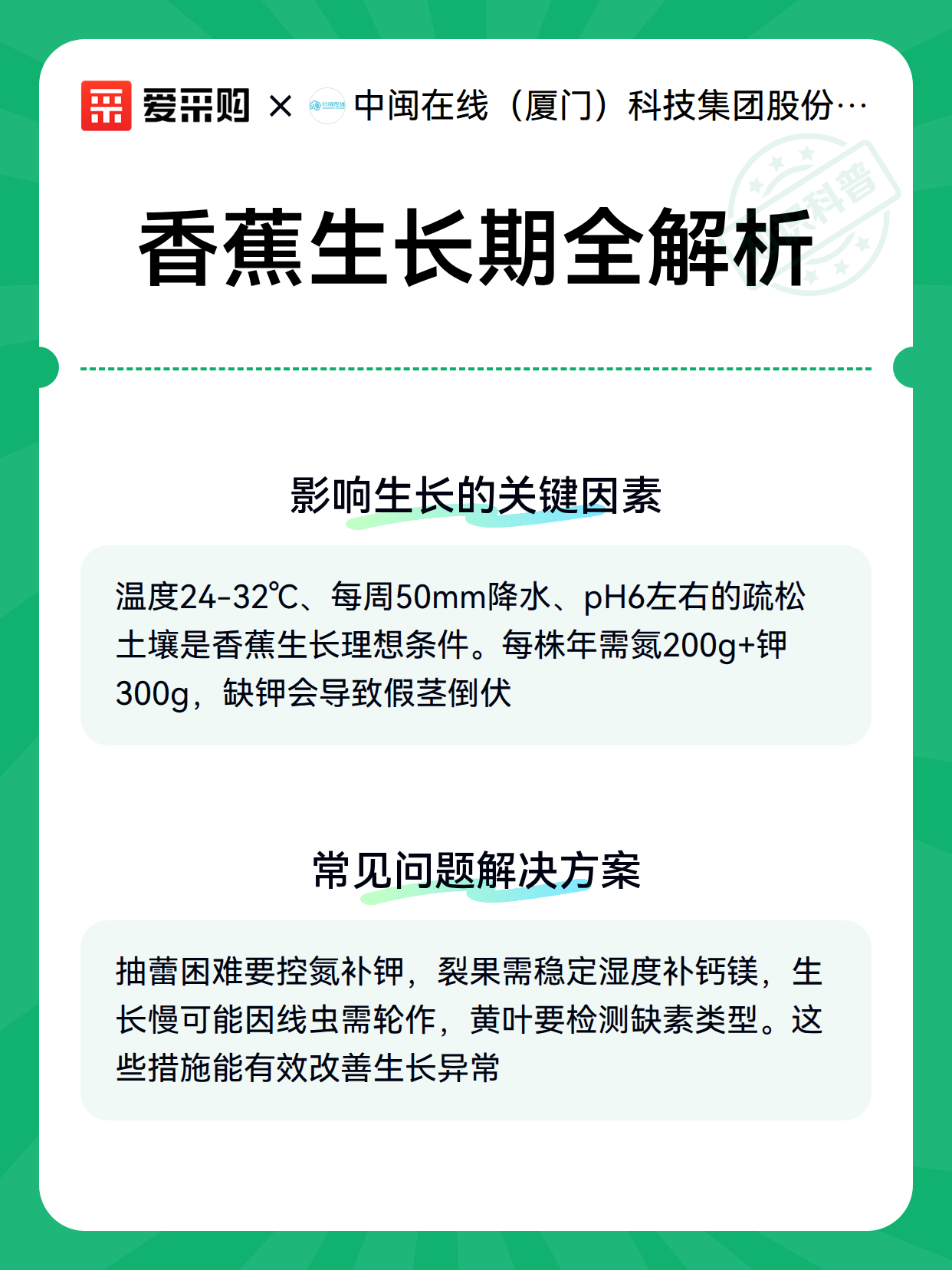 香蕉生长期全解析（图3）