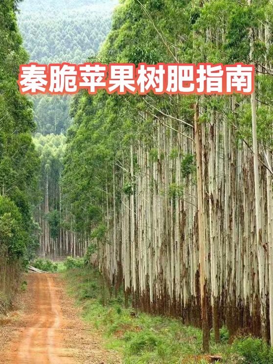 秦脆苹果树肥指南（图1）