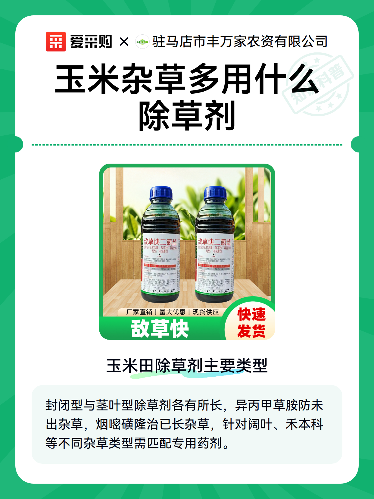 玉米杂草多用什么除草剂（图2）