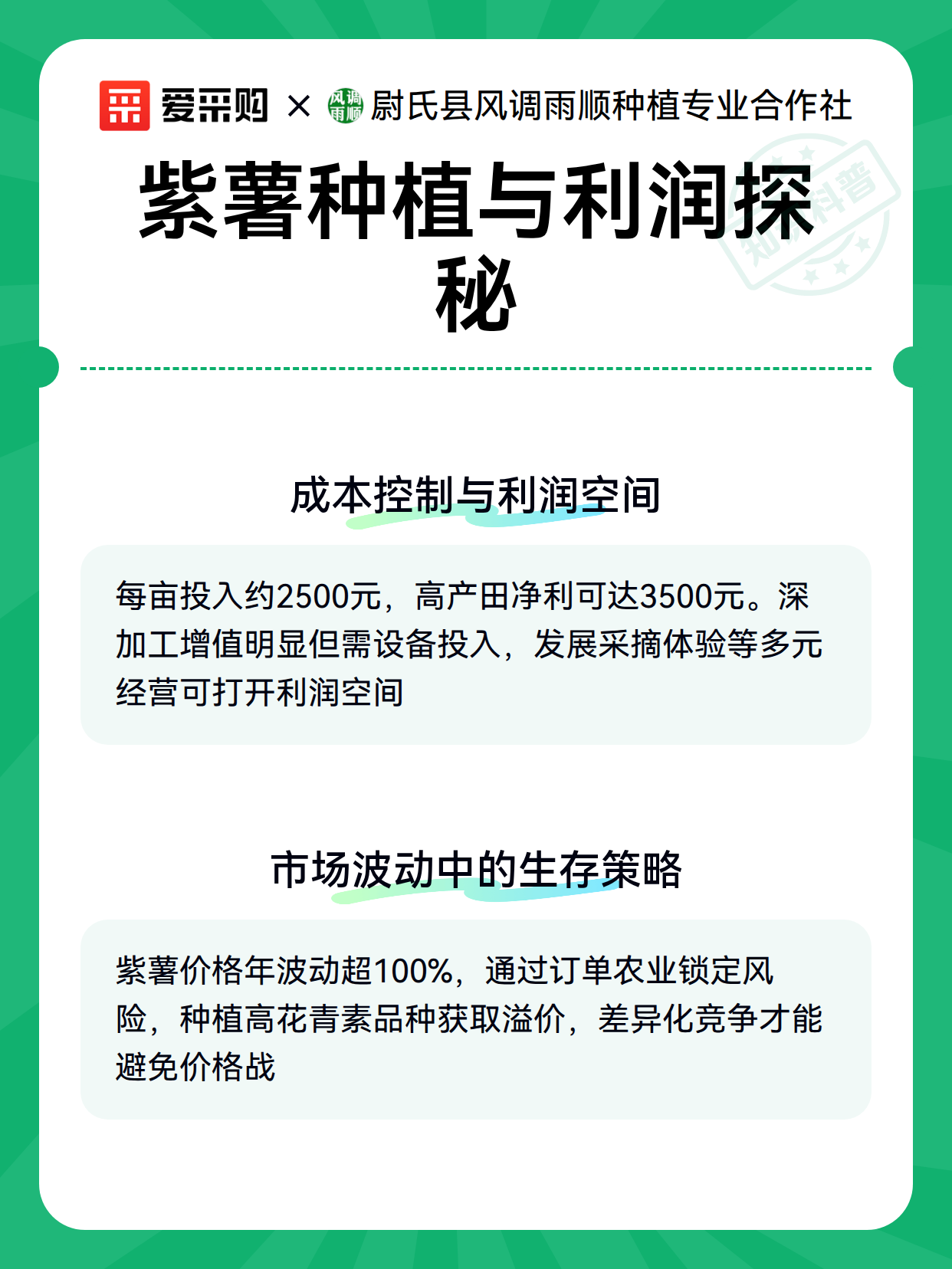 紫薯种植与利润探秘（图2）