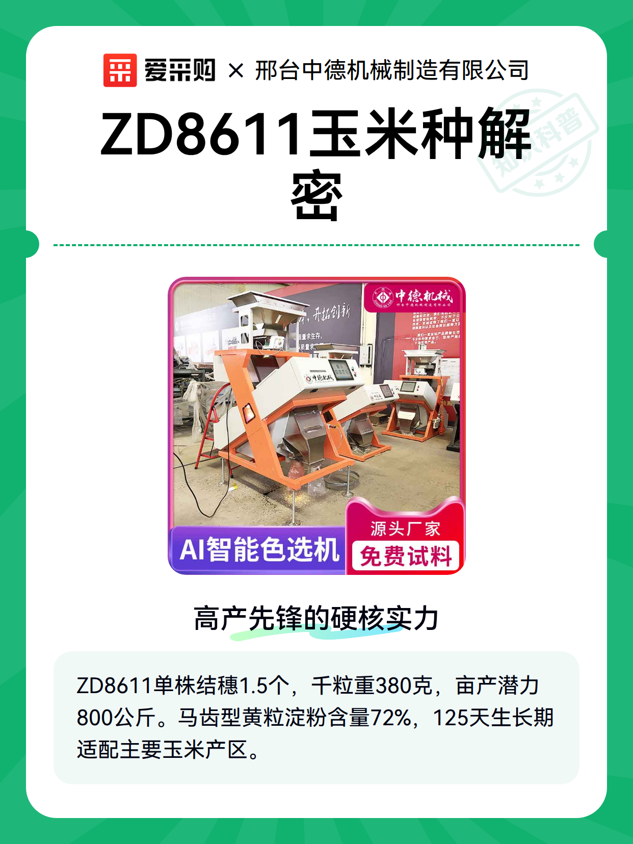 ZD8611玉米种解密（图2）