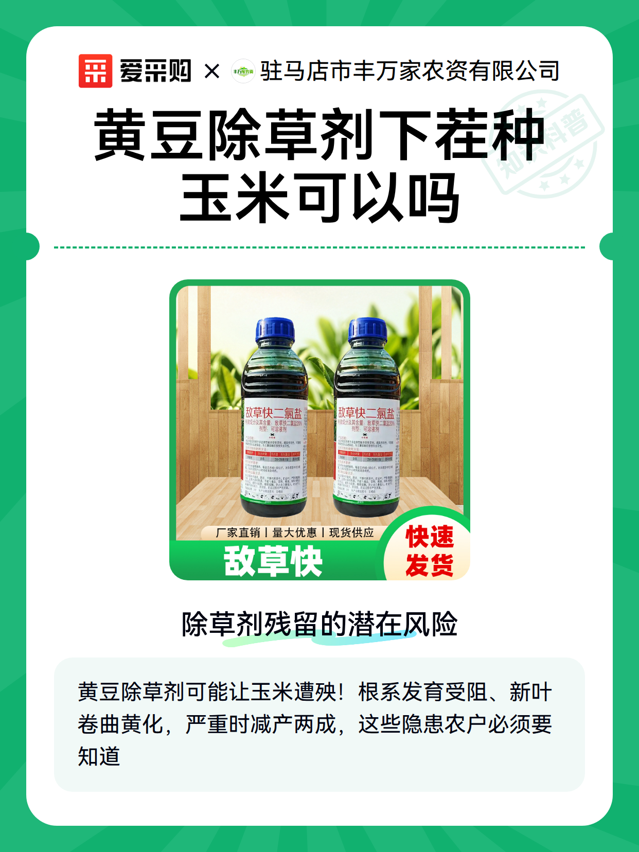 黄豆除草剂下茬种玉米可以吗（图2）