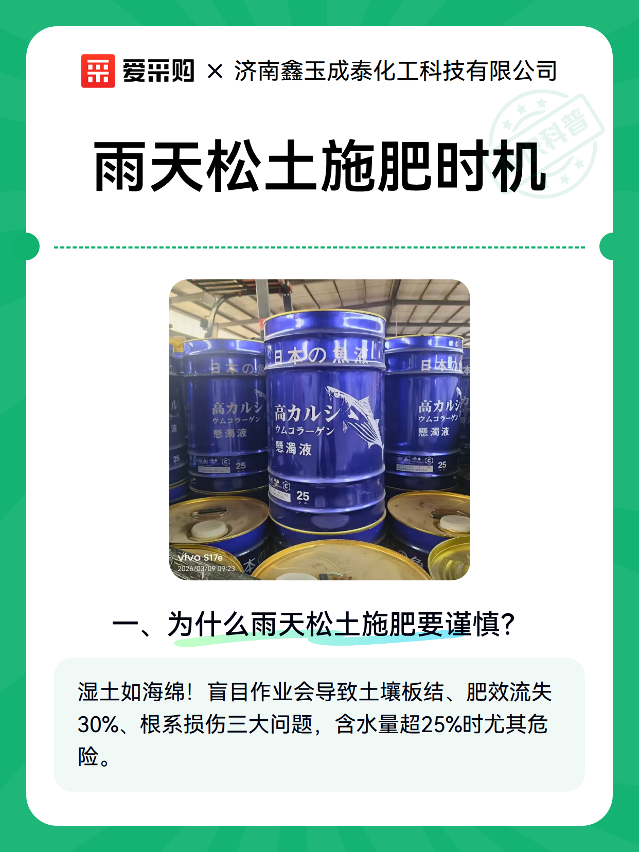雨天松土施肥时机（图2）