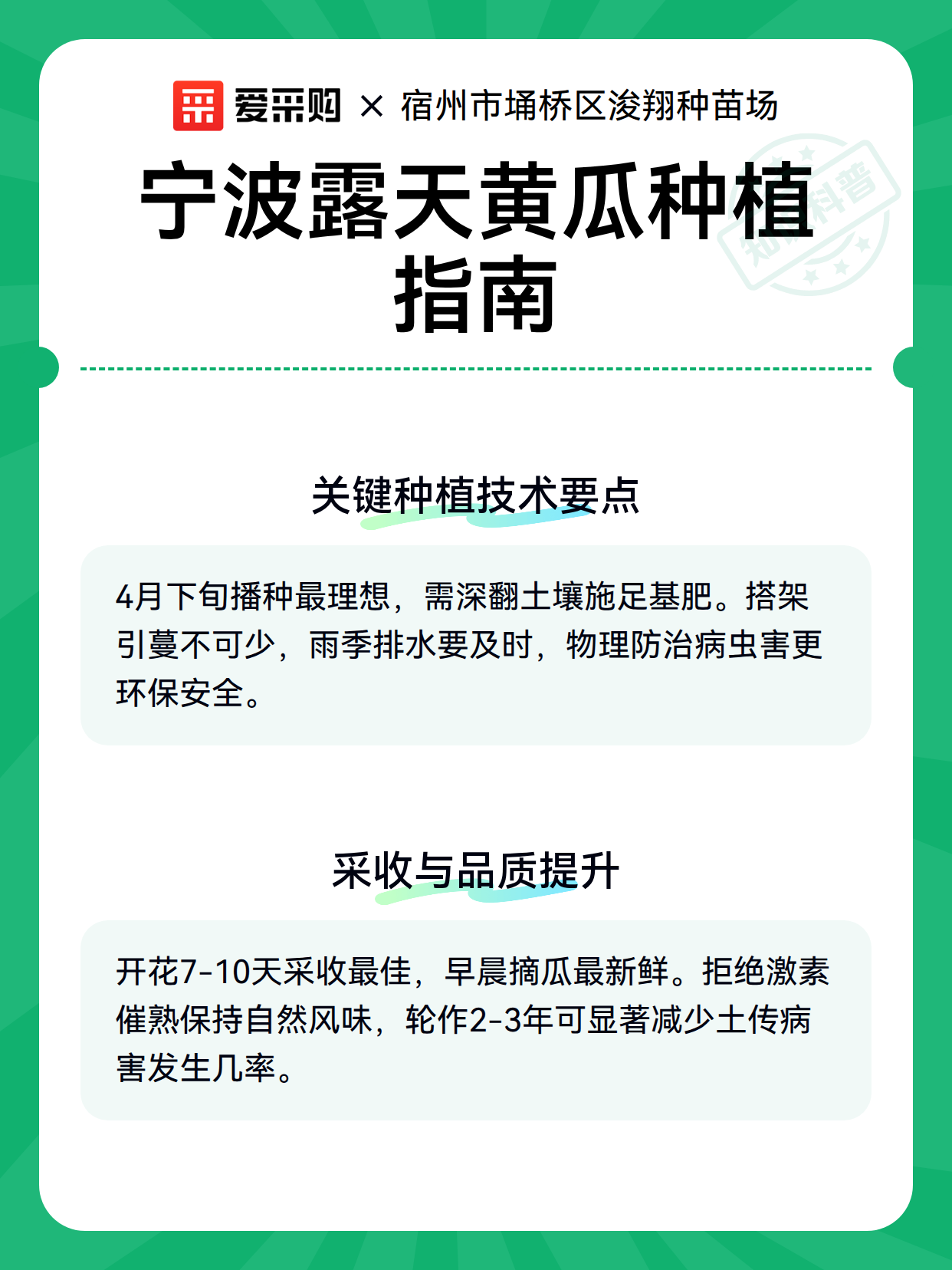 宁波露天黄瓜种植指南（图3）